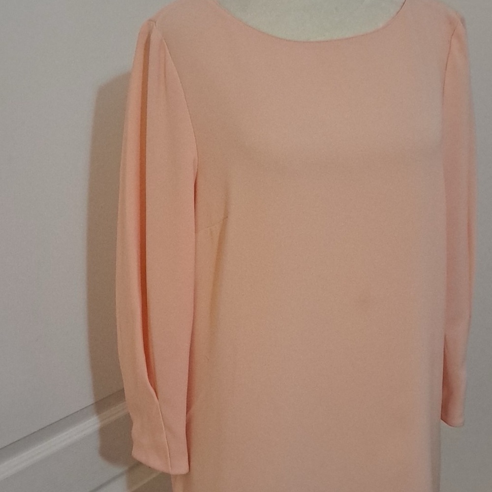 Elegant Peach Long Sleeve Blouse - Picture 2 of 6